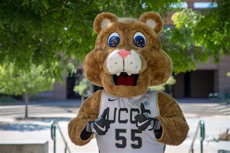 ucc admission|uccs admissions office.